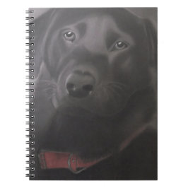 Beautiful Labrador Retriever Notizblock