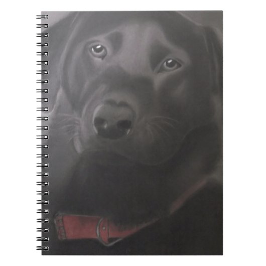 Beautiful Labrador Retriever Notizblock (Vorderseite)
