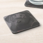 Beautiful Labrador Retriever Untersetzer (Linke Seite)