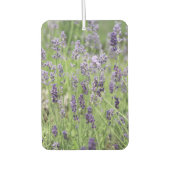 Beautiful Lavender Autolufterfrischer (Vorderseite)