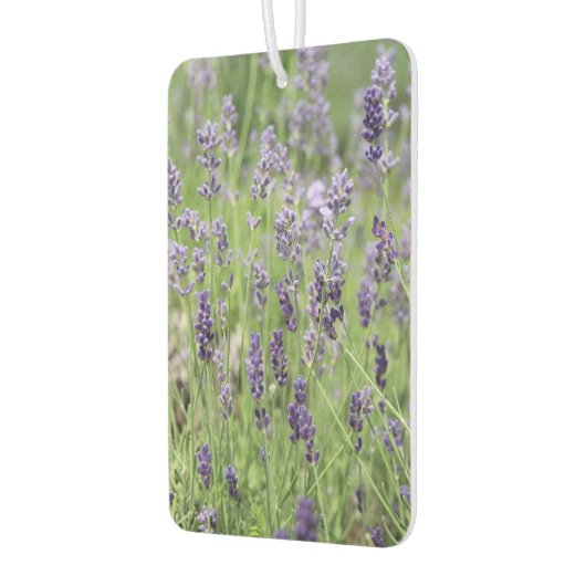Beautiful Lavender Autolufterfrischer (Links)