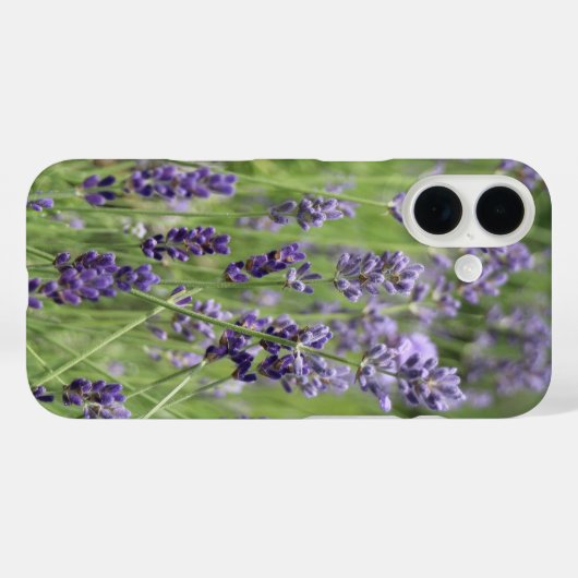 Beautiful Lavender Case-Mate iPhone Hülle (Rückseite (Horizontal))