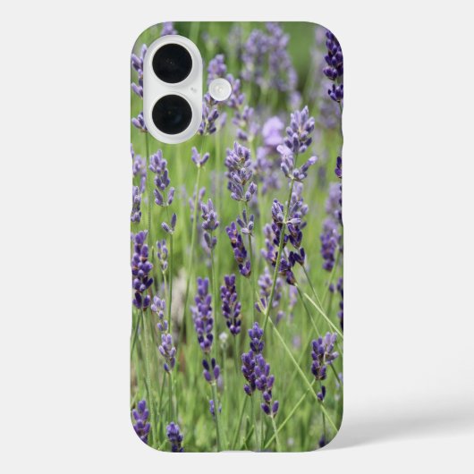 Beautiful Lavender Case-Mate iPhone Hülle (Rückseite)