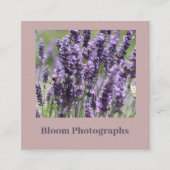 Beautiful Lavender Field Business Card Quadratische Visitenkarte (Vorderseite)