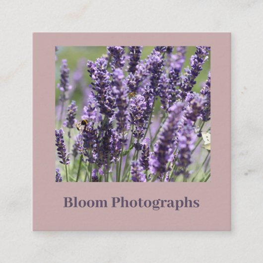 Beautiful Lavender Field Business Card Quadratische Visitenkarte (Vorderseite)