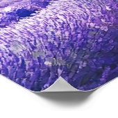 Beautiful lavender fields poster (Ecke)