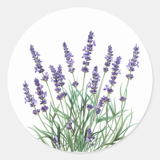 Beautiful Lavender Garden Blume Runder Aufkleber (Vorderseite)