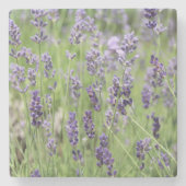 Beautiful Lavender Steinuntersetzer (Vorderseite)