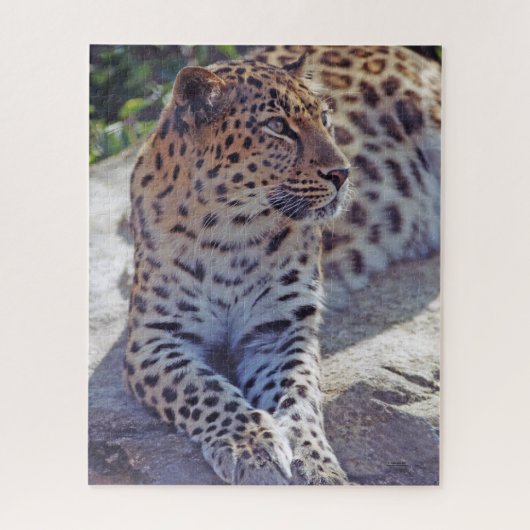 Beautiful Leopard - Puzzle (Vertikal)