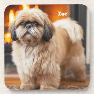 Beautiful Lhasa Apso Personalisiert Untersetzer Se