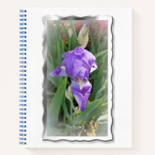 Beautiful Light Blue Iris Notizblock