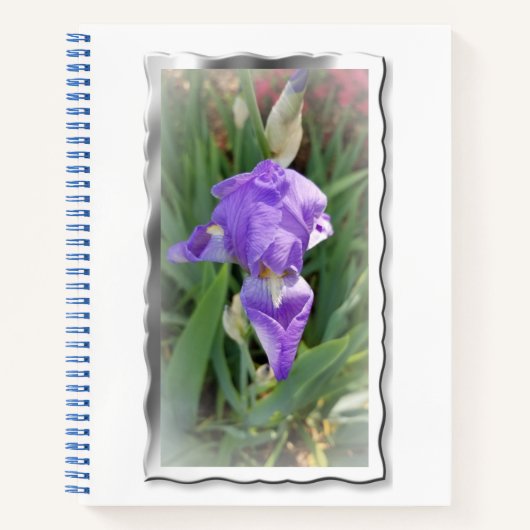 Beautiful Light Blue Iris Notizblock (Vorderseite)