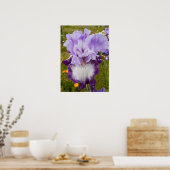 Beautiful Lila Iris Flower Garden Poster (Küche)