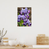 Beautiful Lila Iris Lilac Flower Garden Poster (Küche)