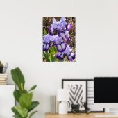 Beautiful Lila Iris Lilac Flower Garden Poster (Heimbüro)