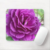 Beautiful Lila Lilac Rose Mouse Pad Mousepad (Mit Mouse)