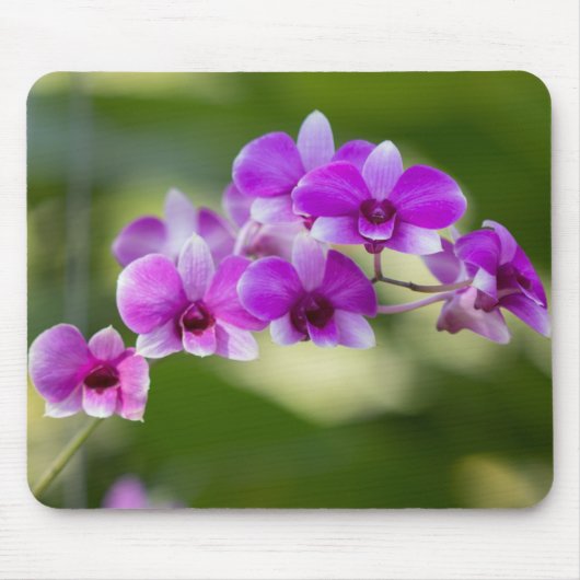 Beautiful Lila Orchid Mousepad (Vorne)