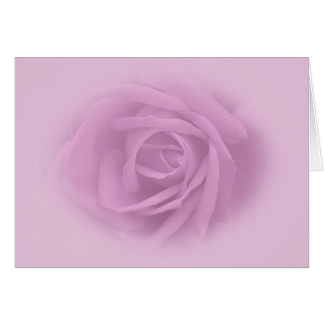 Beautiful Lilac Rose (Vorderseite (Horizontal))