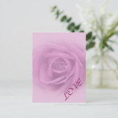 Beautiful Lilac Rose Postkarte (Stehend Vorderseite)