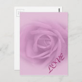 Beautiful Lilac Rose Postkarte (Vorne/Hinten)