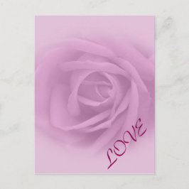 Beautiful Lilac Rose Postkarte