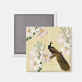Beautiful Lilies Peacock Magnet (Vorderseite/Rückseite)