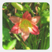 Beautiful Lily Quadratischer Aufkleber (Vorderseite)