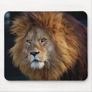 Beautiful Lion Mouse Mat Mousepad