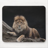 Beautiful Lion Mousepad (Vorne)