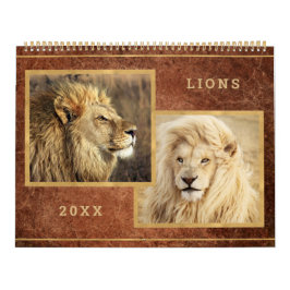Beautiful Lions Foto Image Calendar Kalender