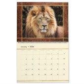 Beautiful Lions Foto Image Calendar Kalender (Jan 2026)