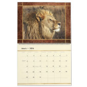 Beautiful Lions Foto Image Calendar Kalender (Mär 2026)