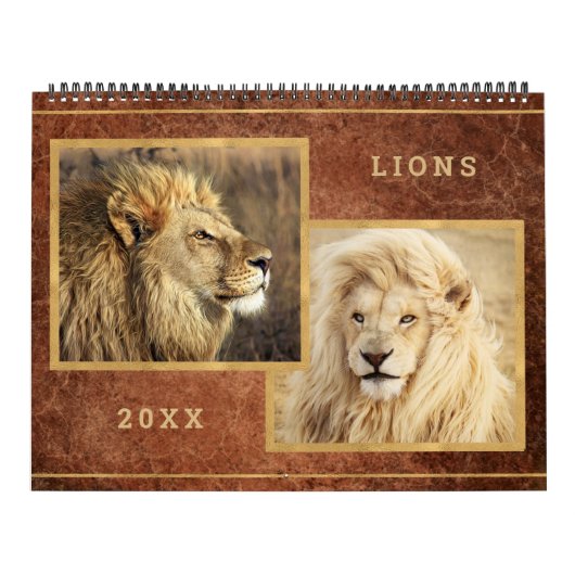Beautiful Lions Foto Image Calendar Kalender (Titelbild)