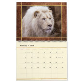 Beautiful Lions Foto Image Calendar Kalender (Feb 2026)