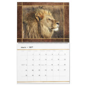 Beautiful Lions Foto Image Calendar Kalender (Mär 2027)