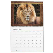 Beautiful Lions Foto Image Calendar Kalender (Jan 2027)