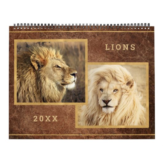 Beautiful Lions Foto Image Calendar Kalender (Titelbild)