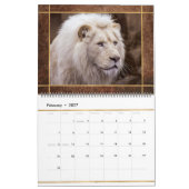 Beautiful Lions Foto Image Calendar Kalender (Feb 2027)