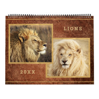 Beautiful Lions Foto Image Calendar Kalender