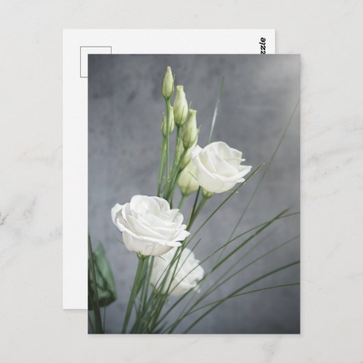 Beautiful Lisianthus White Blume Postcard Postkarte (Vorne/Hinten)