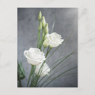 Beautiful Lisianthus White Blume Postcard Postkarte