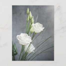 Beautiful Lisianthus White Blume Postcard Postkarte