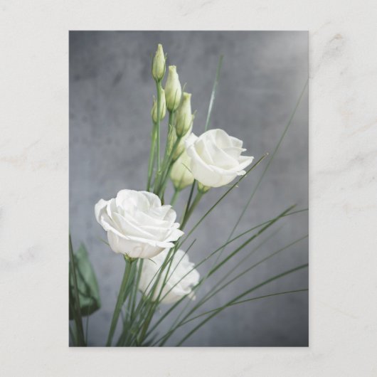 Beautiful Lisianthus White Blume Postcard Postkarte (Vorderseite)