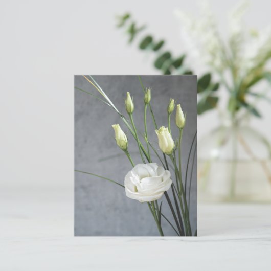Beautiful Lisianthus White Blume Postkarte (Stehend Vorderseite)