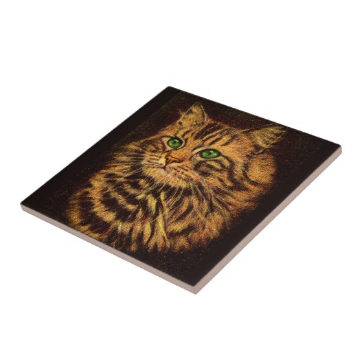 Beautiful Long Haired Tabby Cat Fliese (Seite)