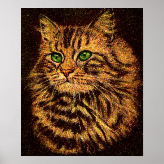 Beautiful Long Haired Tabby Cat Poster (Vorne)