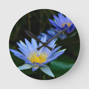Beautiful lotus flowers and meaning runde wanduhr