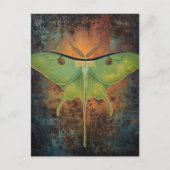 Beautiful Luna Moth Painting Postkarte (Vorderseite)