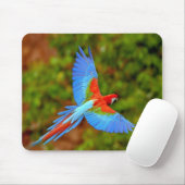 Beautiful Macaw Mouse Mat Mousepad (Mit Mouse)