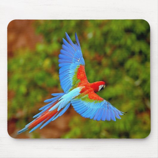 Beautiful Macaw Mouse Mat Mousepad (Vorne)